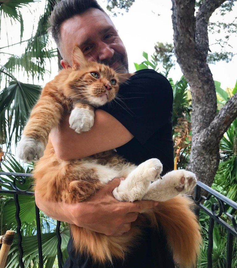 «Отпусти кота!»: фанаты Сергея Шнурова переживают за его питомца