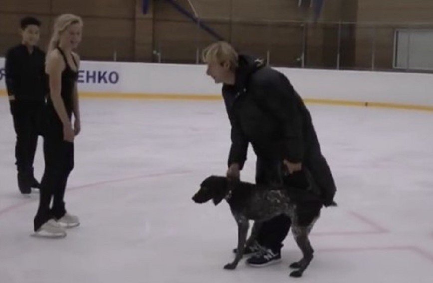 «На все руки мастер»: Евгений Плющенко вывел на лед собаку