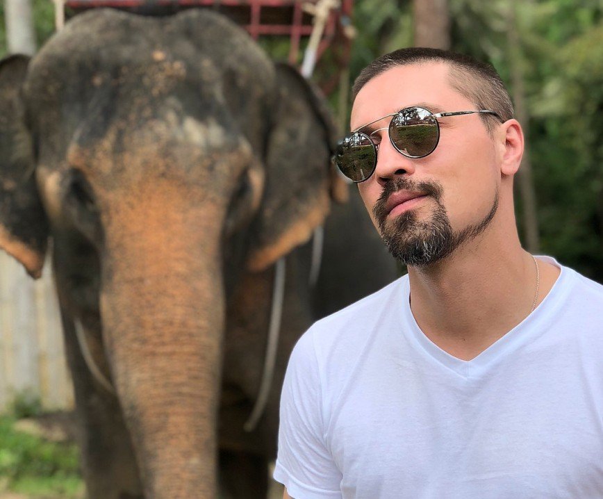«Нашёл себе друга»: Дима Билан прикормил слона