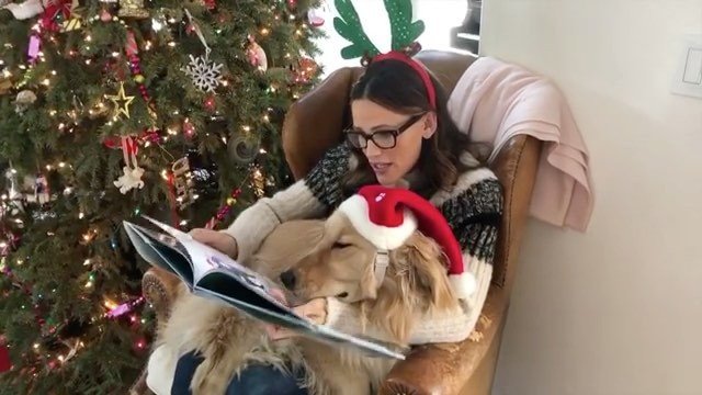 «С ума сошла без мужа»: Дженнифер Гарнер читает своему псу сказки в Рождество
