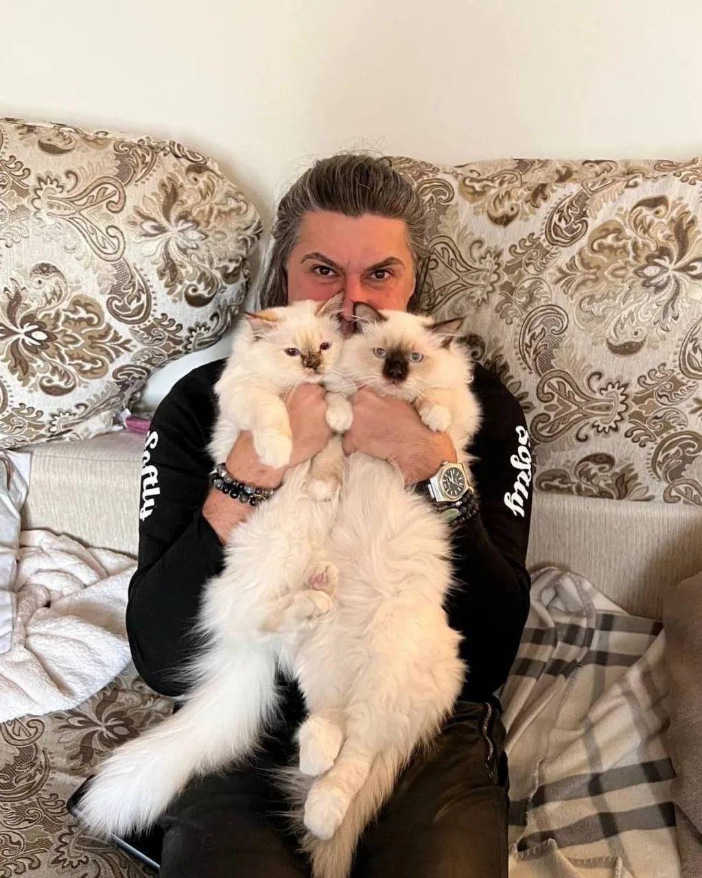 Николай Цискаридзе с кошками