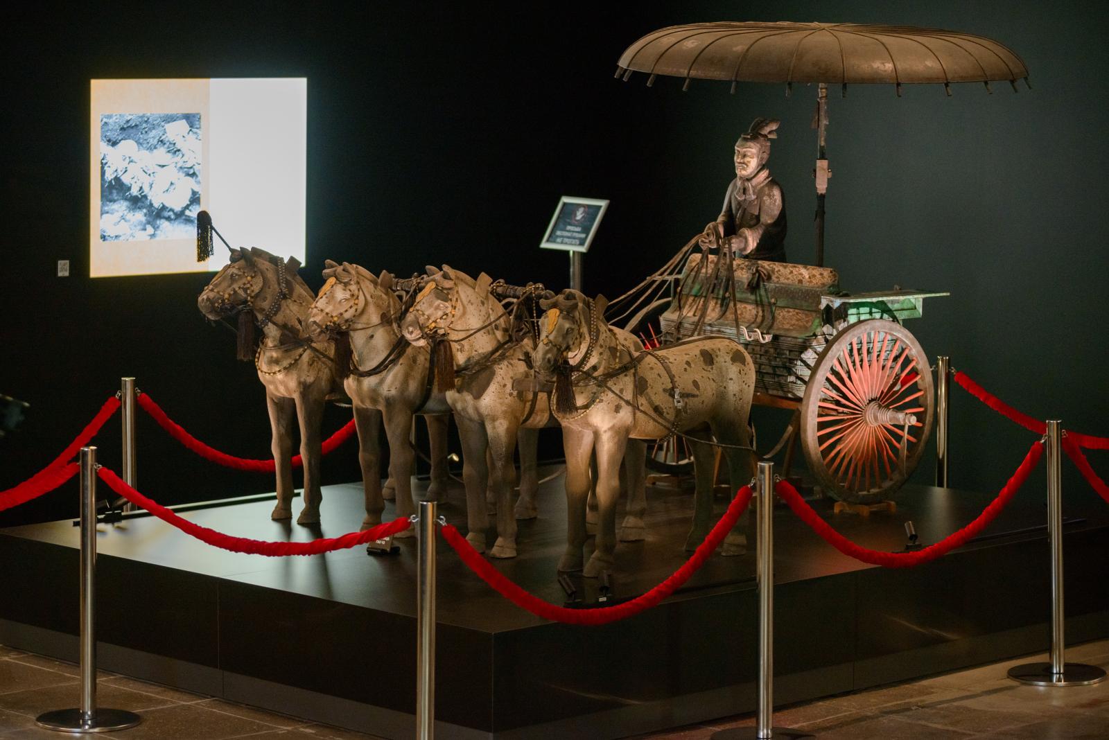 Выставка-реконструкция «Терракотовая армия. Бессмертные воины Китая»