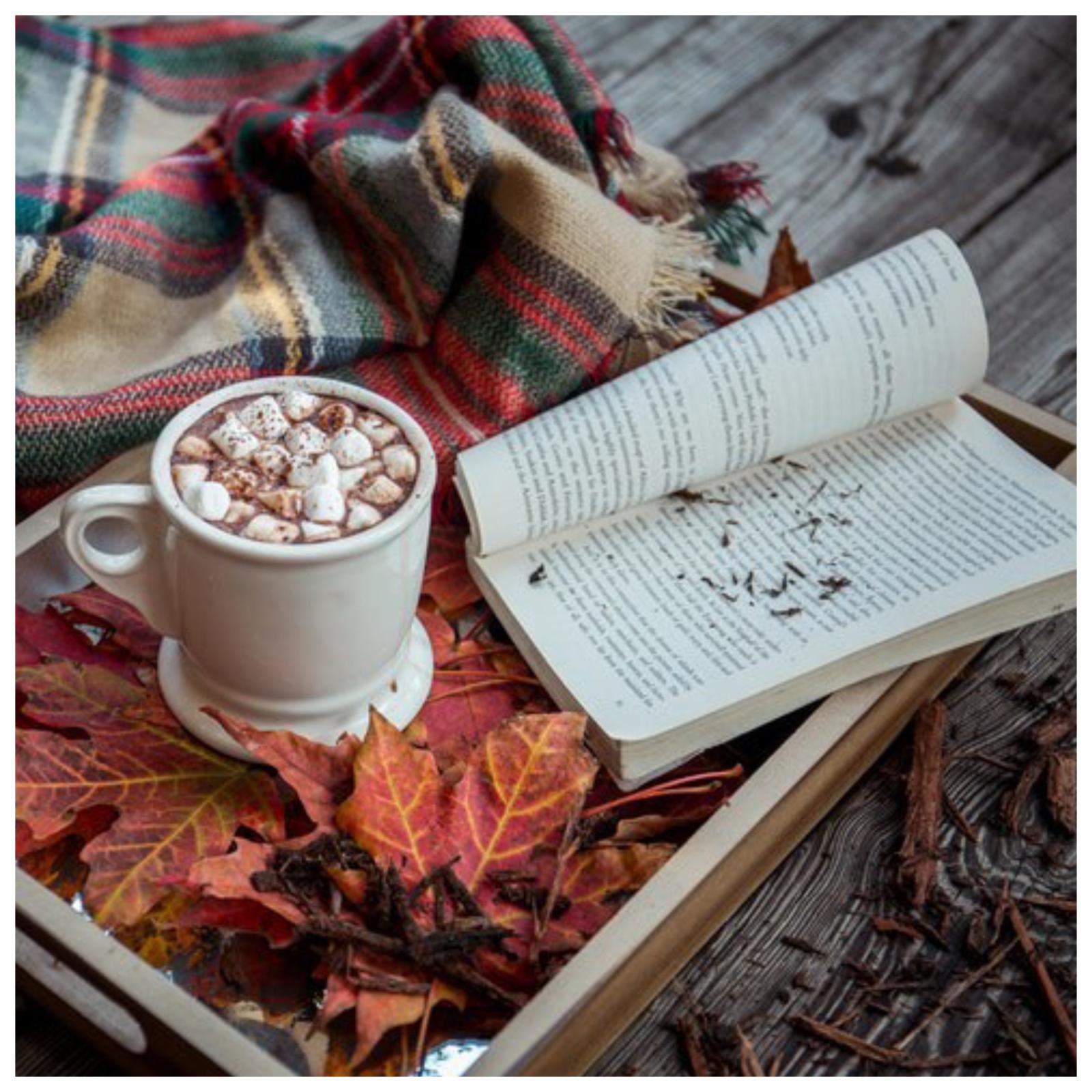 8 романов, которые сделают осень ярче и уютнее