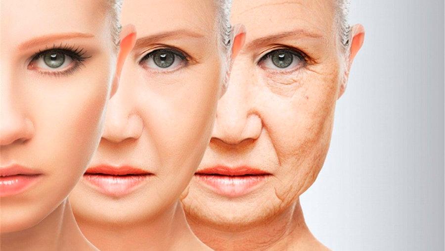 Свободные радикалы вызывают стресс в организме, а старение — это нормальная биологическая реакция на стресс
