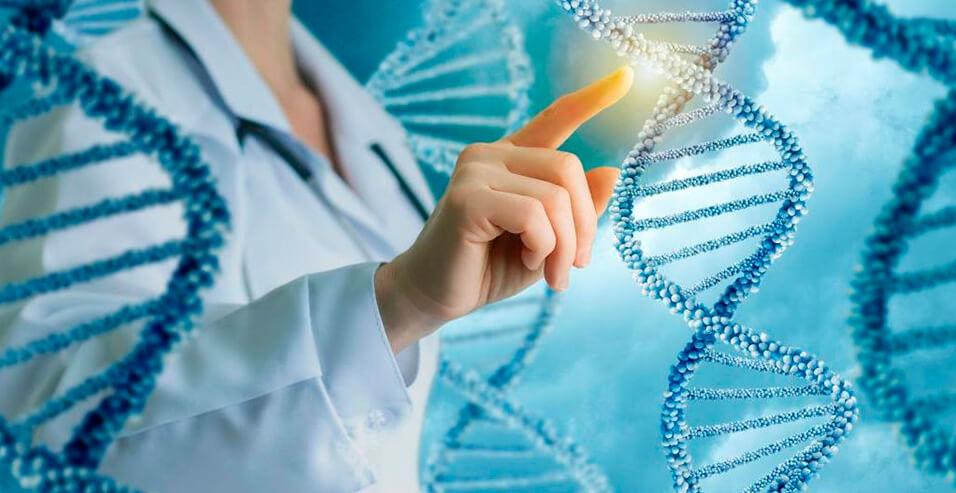 ДНК-исследование помогает улучшить жизнь во многих аспектах