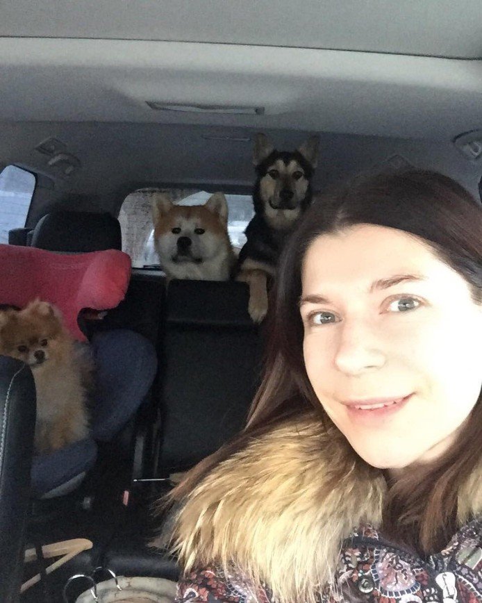 «Мы с хвостами по делам»: Екатерина Волкова уместила трех собак в машину