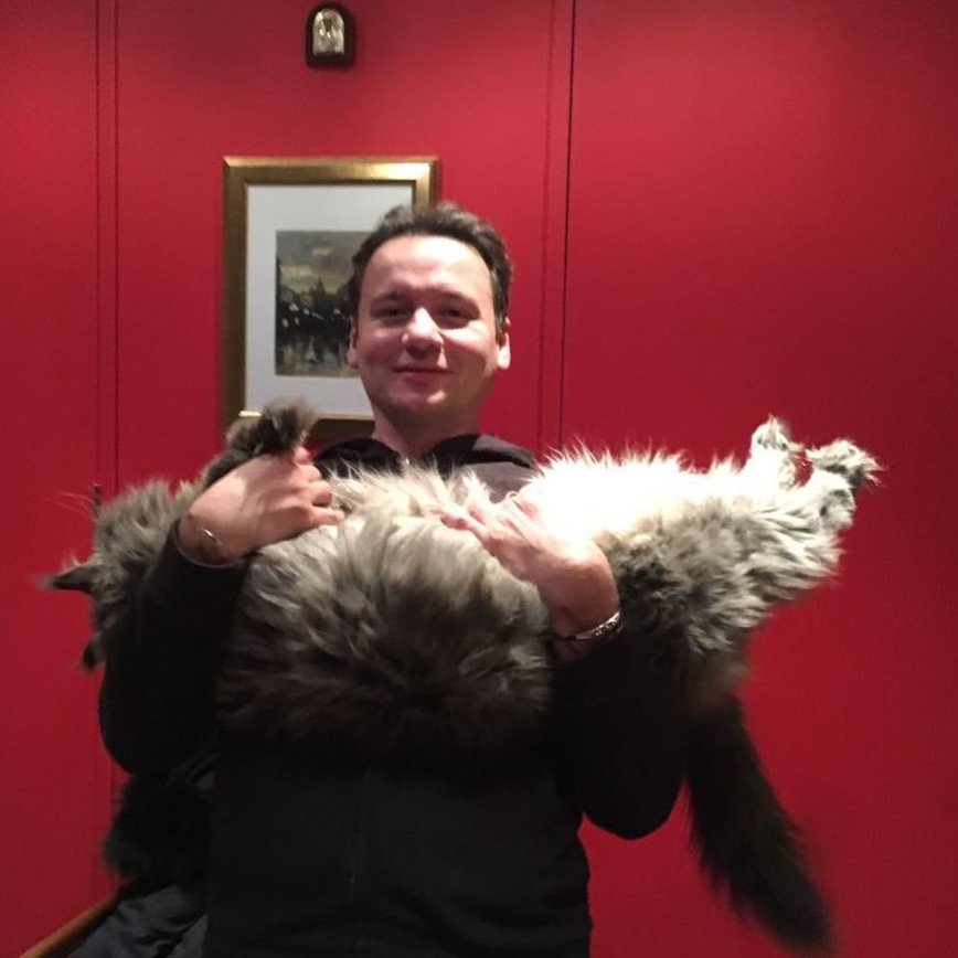 «Это стресс для кота!»: Александр Олешко пригласил к своим питомцам грумера
