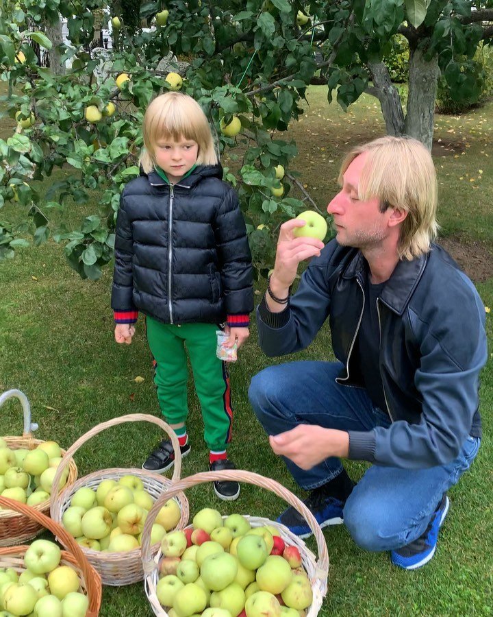 Всех будем угощать: Евгений Плющенко похвастался богатым урожаем яблок