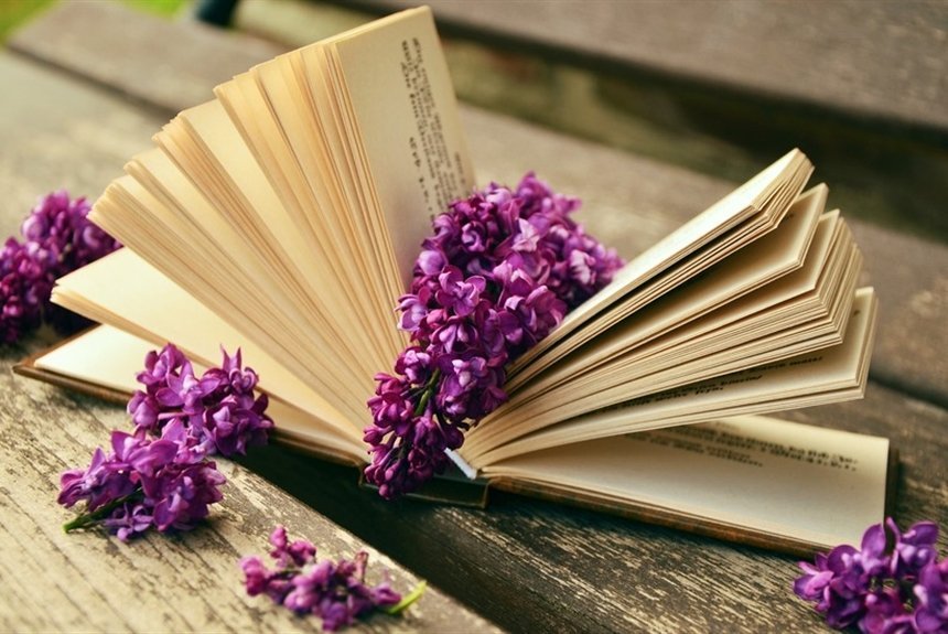 Встречайте весну с книгой в руках: 8 романов к 8 марта