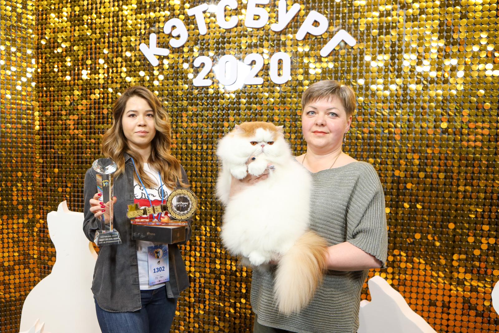 Участники выставки кошек «Кэтсбург» установили новый рекорд России 