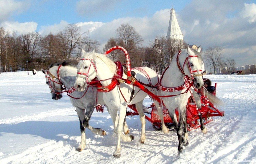Два Рождества в «Архангельском»