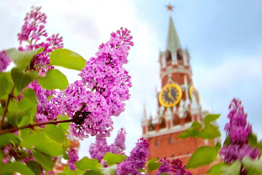 С 17 по 19 мая в столице впервые пройдет фестиваль «Николин день»