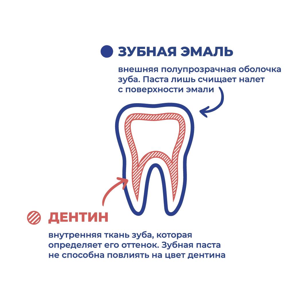 Зубная эмаль и дентин(схема)