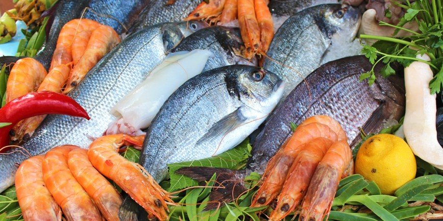 «Уха всех морей»: на фестивале «Рыбная неделя» сварят 100 литров ухи из девяти видов рыбы