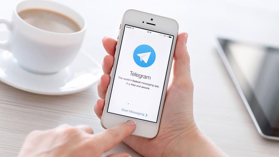 В Telegram запустили первого российского чат-бота с самой важной информацией про коронавирус