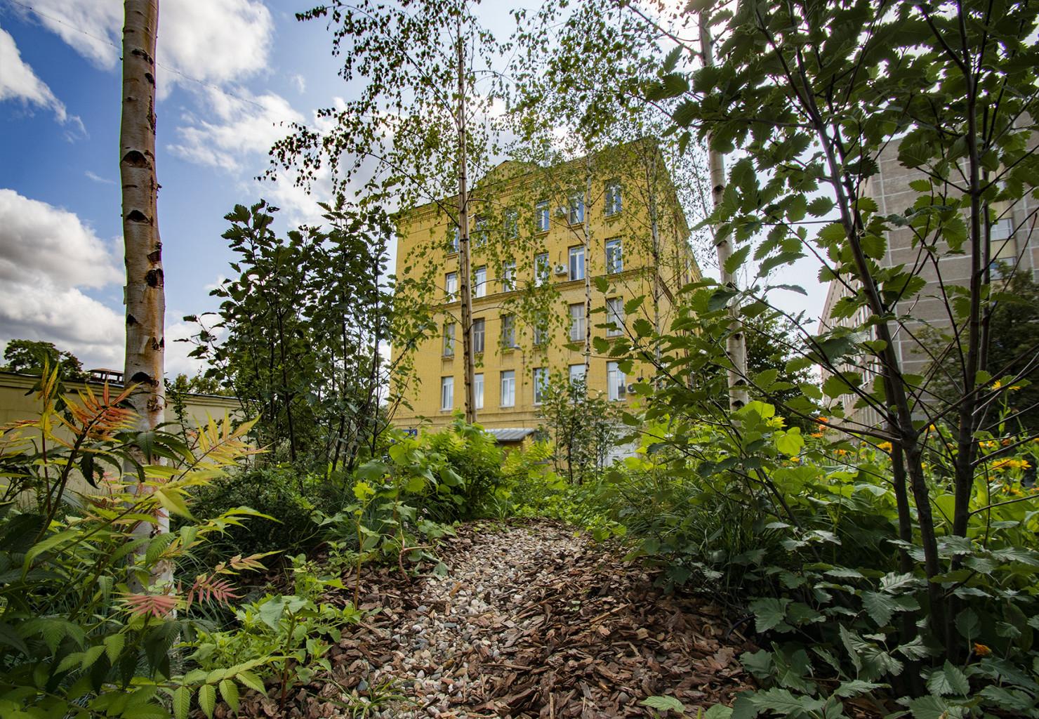 Сад «Зеленая аптека Суворова»