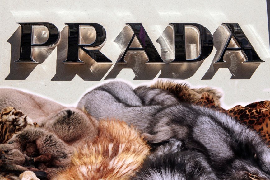 Модный дом Prada объявил об отказе от натурального меха