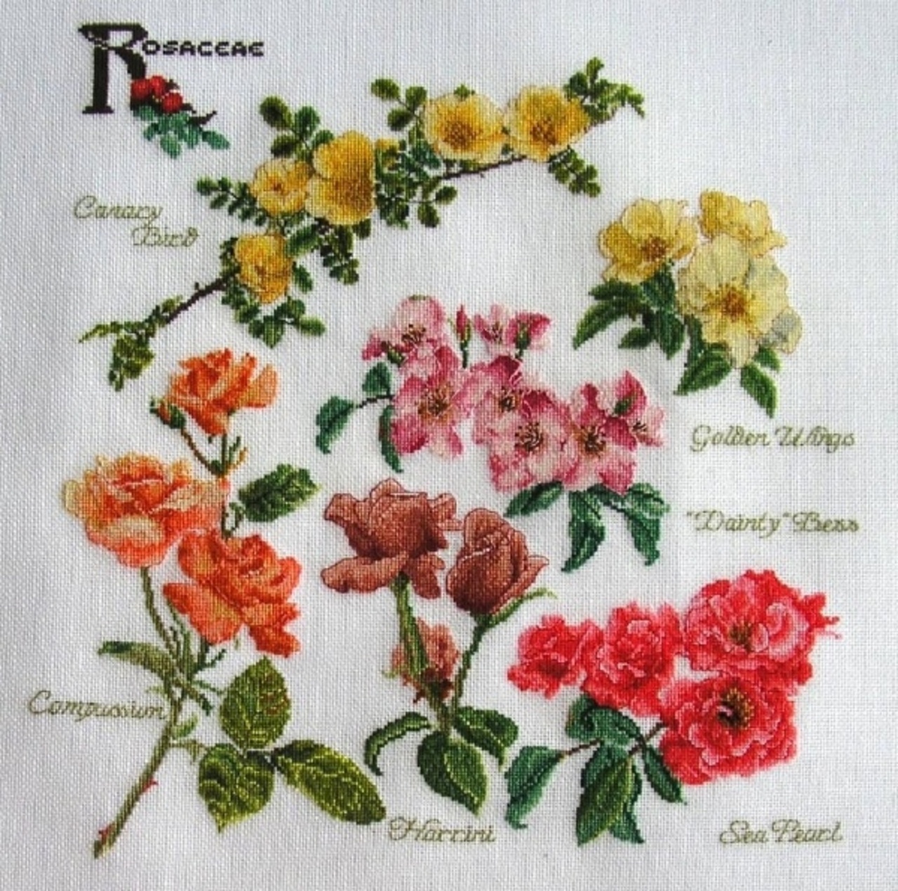 "Rosaceae" Thea Gouverner 
ткань Linda 27, 
нитки DMC (85 цветов) крестик в одну ниточку через одну нить ткани zlataya