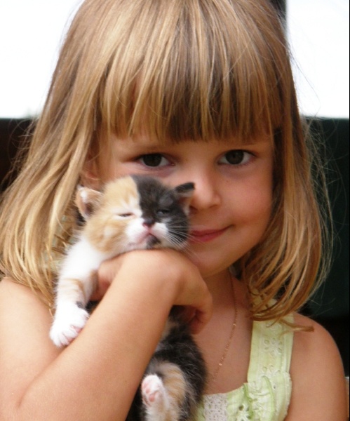 Равновесие красоты. Кто красивей - котенок или маленькая принцесса? veriko