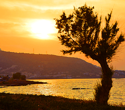Горный пейзаж с деревом Schαumα