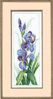riolis-iris.jpg