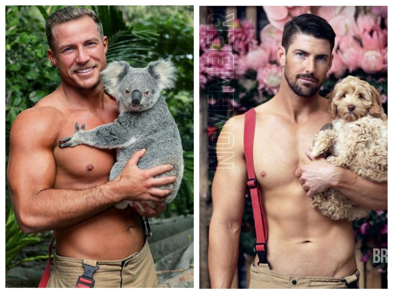 Котики, коалы и потрясающие мужчины: австралийские пожарные выпустили новый календарь
