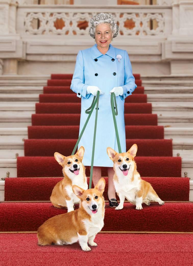 С ароматом веселой прогулки: королева Елизавета II выпустила парфюм для собак