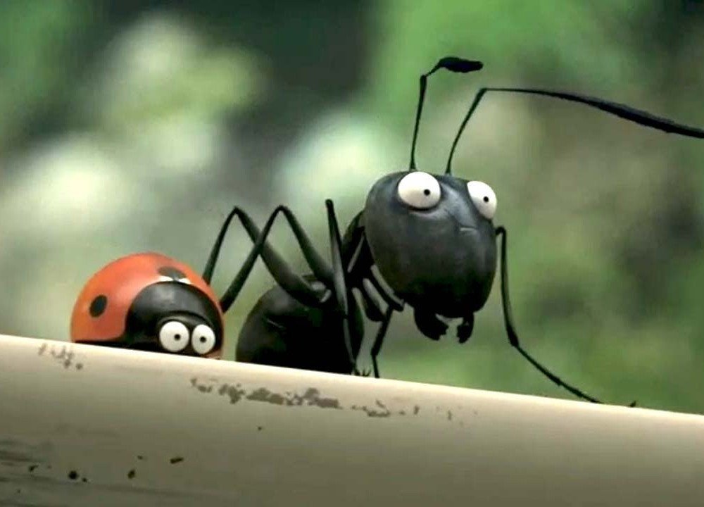 Конец легенде: оказывается, муравьи не любят работать!