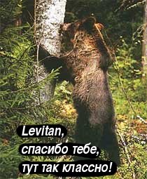 медведь-у-дерева.jpg