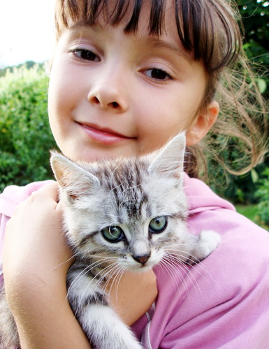 Такого испуганного котенка дочь принесла с заброшенного дачного участка. ruzik (РК "НатюрМОРДЫ")
