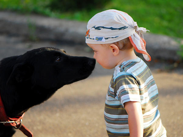 Первым животным, с которым встретился Сережа, была собака Шерри, они встретились и познакомились:). Nюрик_