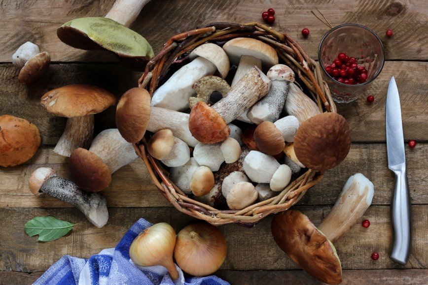 Почти половина хозяек не заготавливает грибы на зиму