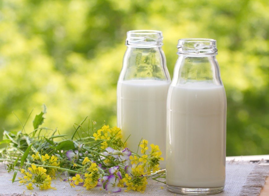 Ученые создали полностью здоровое коровье молоко