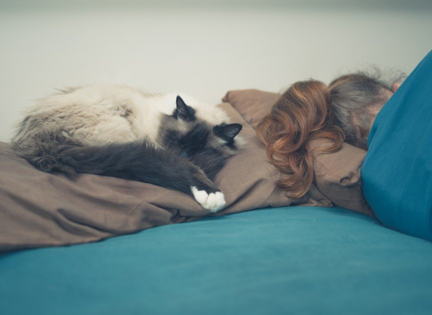 Домашние животные помогают людям крепче спать