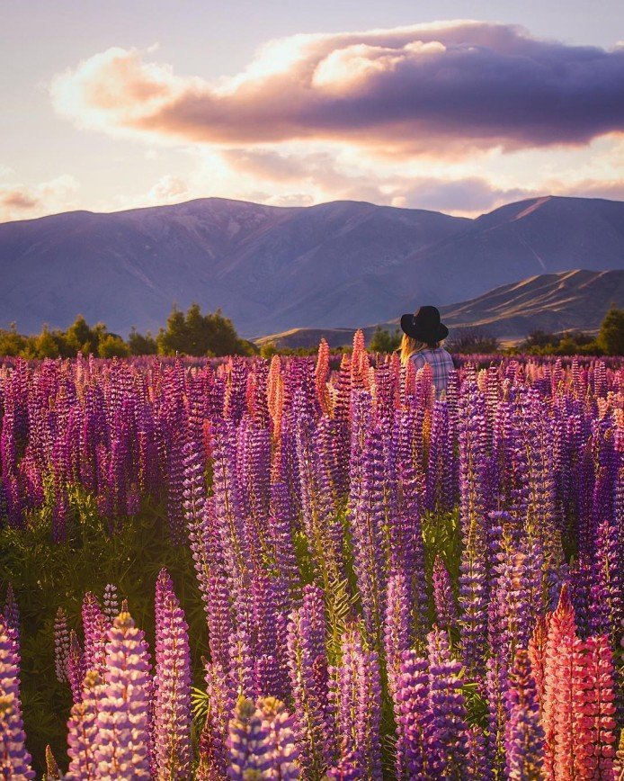 Безумная красота Новой Зеландии