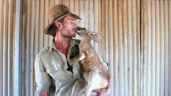 Крис Барнс спешит на помощь маленьким кенгурятам