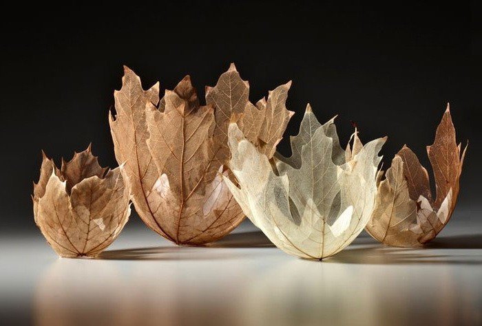 Невесомые чаши и вазы из скелетированных листьев