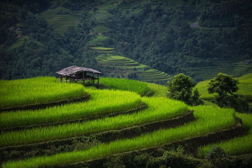 Очарование Вьетнама глазами местного фотографа