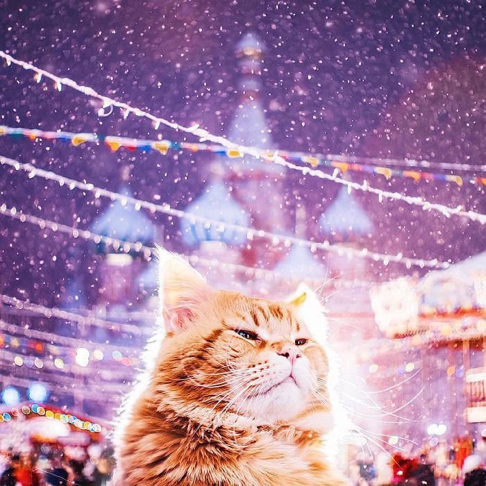 Новогодняя Москва глазами Кристины Макеевой