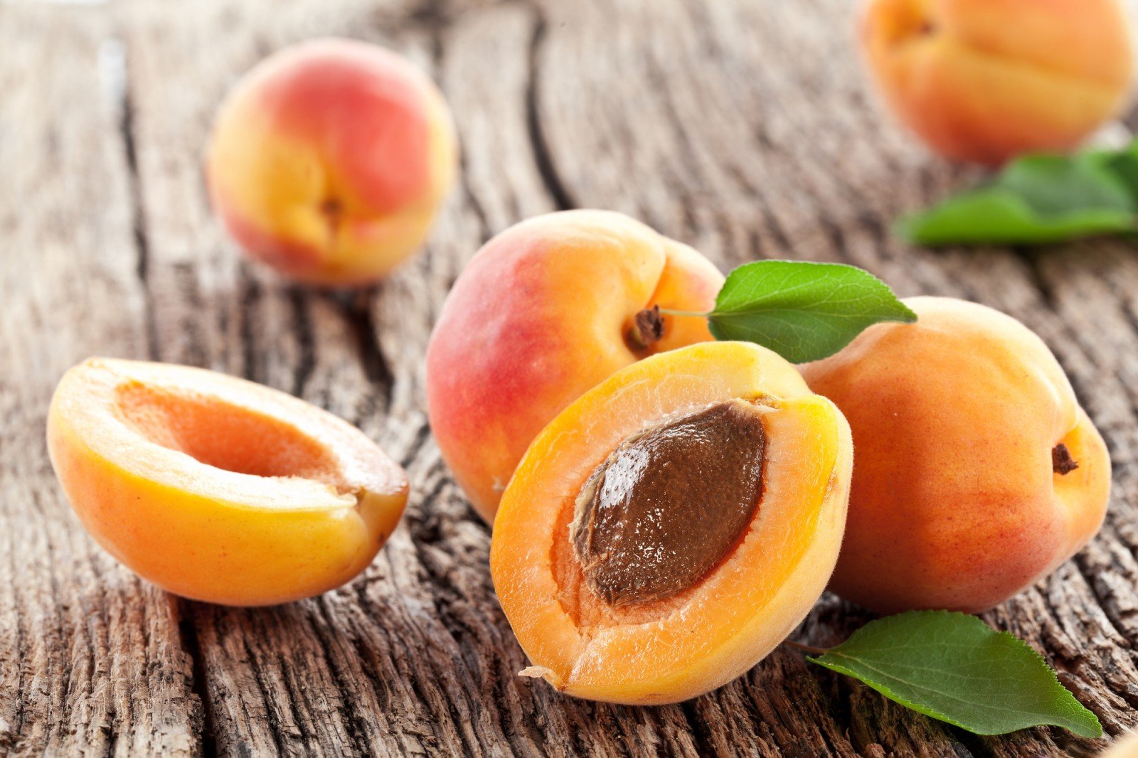 Салат, джем и пирог: что приготовить из ароматных абрикосов