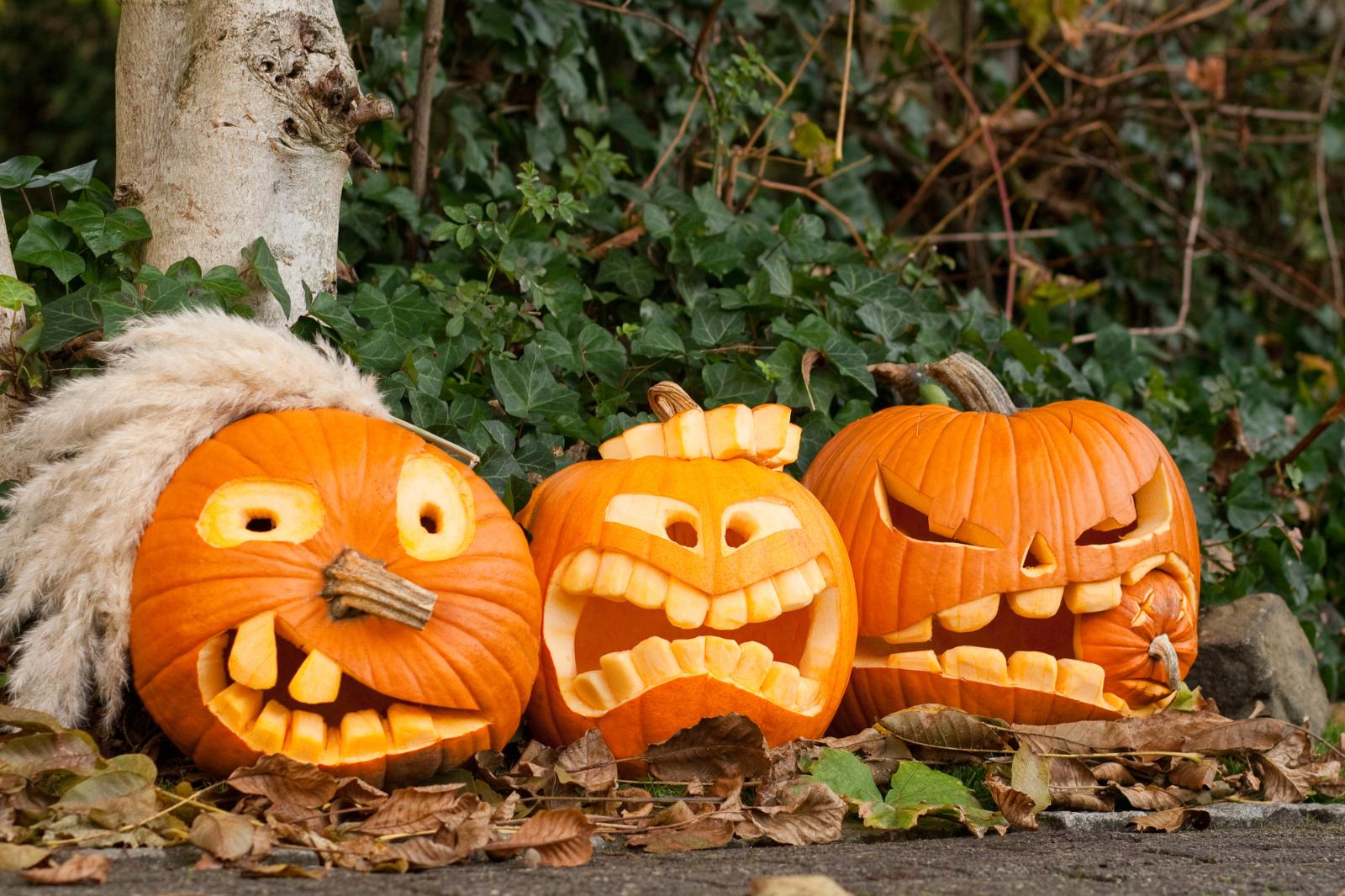Готовимся к самому мистическому празднику года: выбираем жуткий декор дома на Хэллоуин
