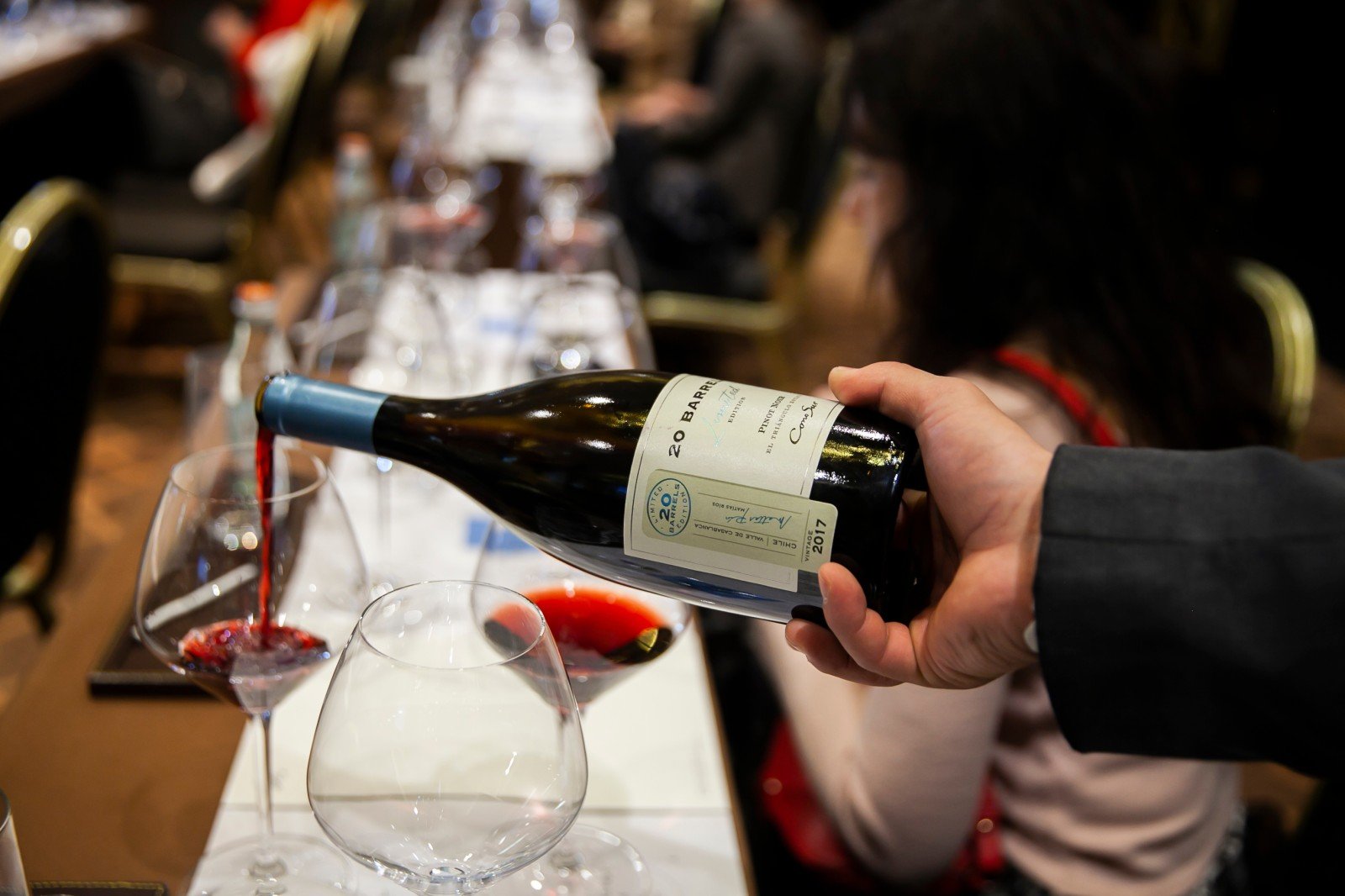 Первопроходцы из Чили: виноделы открыли России премиальный Пино Нуар