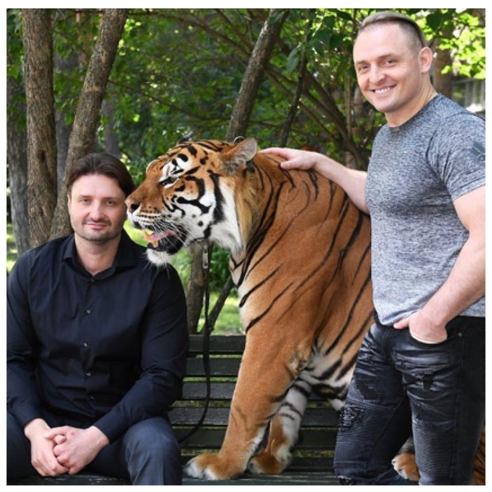 Пишу и плачу: Эдгард Запашный сообщил о смерти любимого тигра