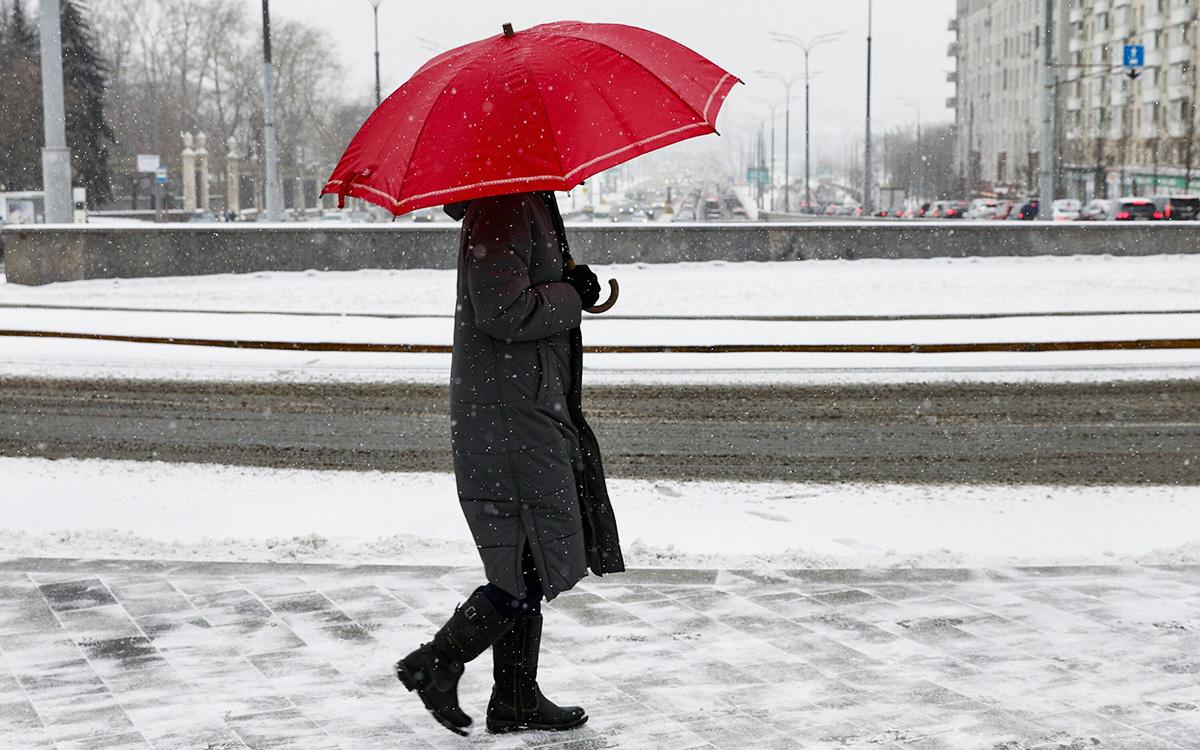 Почти половина суточной нормы: Москву засыпает снегом 