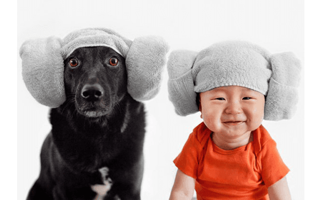Во что может вылиться любовь к детям и собакам