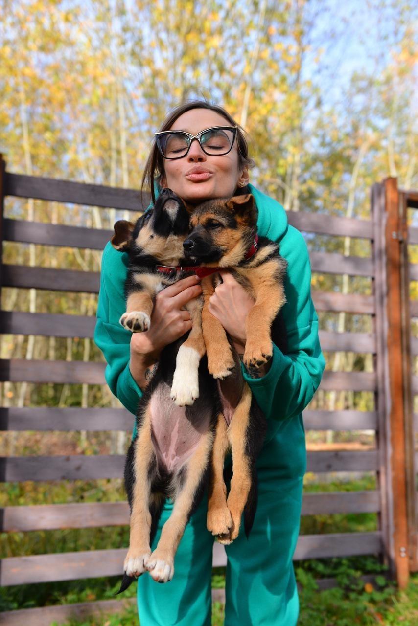 Помогайте животным! Алена Водонаева, Sabi Miss и Black4riday посетили приют животных «Котодетки»