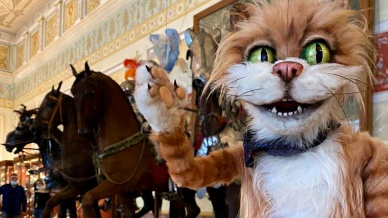 #МузейныйТикТок: кот Сигизмунд проведет экскурсию по Эрмитажу в TikTok