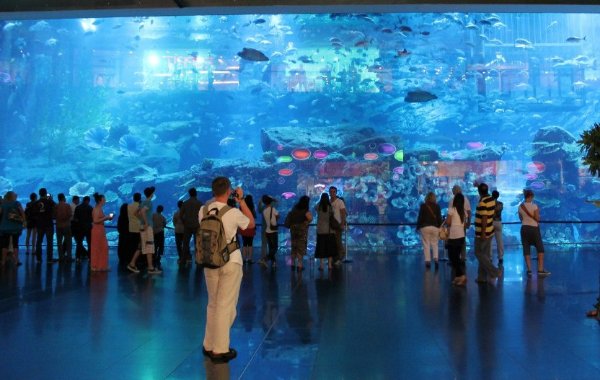 Вот такой он один из самых больших аквариумов мира - Dubai Aquarium and Under Water Zoo в  devchenka