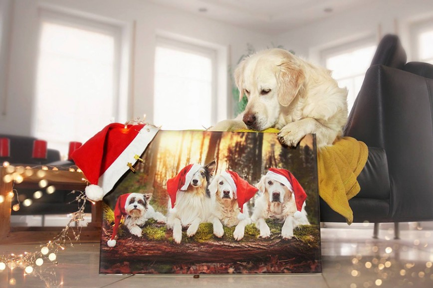 Рождественские собаки от Gabi Stickler