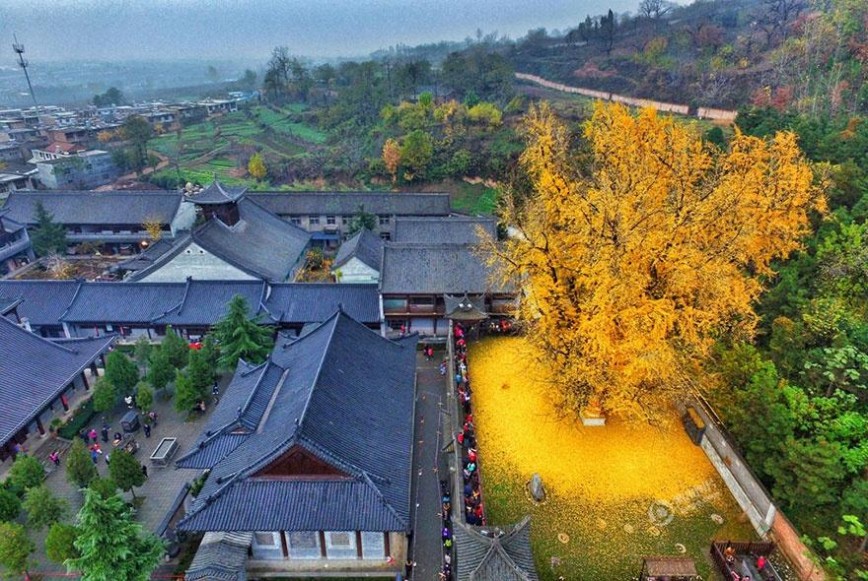 Осень в китайском храме